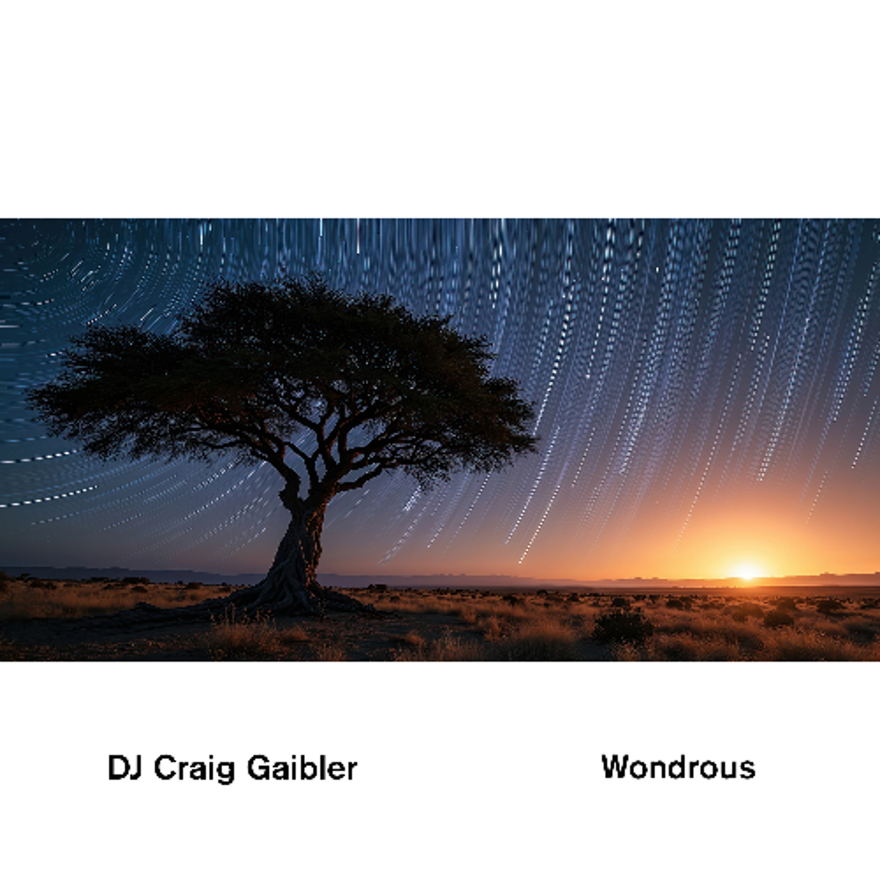 Wondrous episode artwork
