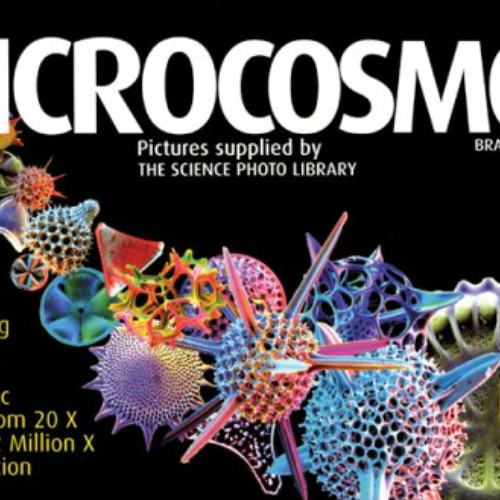 free PDF 💙 Microcosmos: Discovering the World Through Microscopic Images from 20 X t