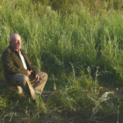 Lil Uzi Vert - Dream Slowed