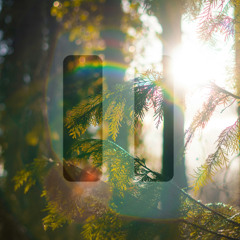 PAUSE #002 - "Where I Set You Free"