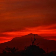 Red Planet Lofi