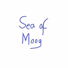 SeaOfMoog