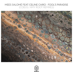 Fool's Paradise (Amy Root Remix) [feat. Celine Cairo]