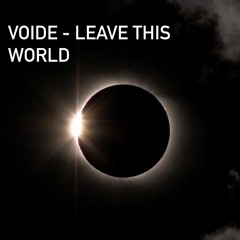 Voide - Leave The World Remix