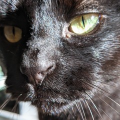 does he treat you right?