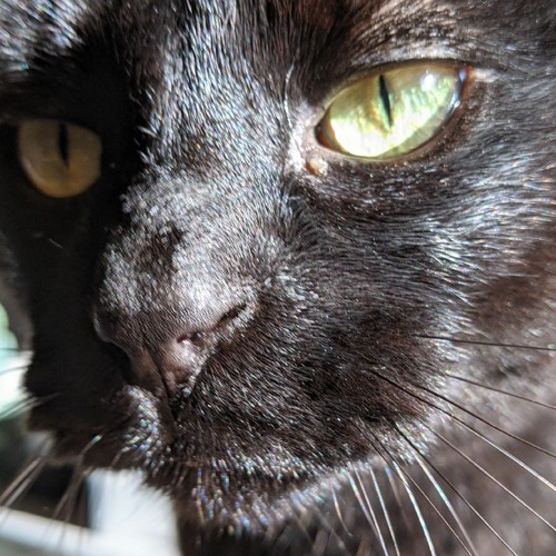 does he treat you right?