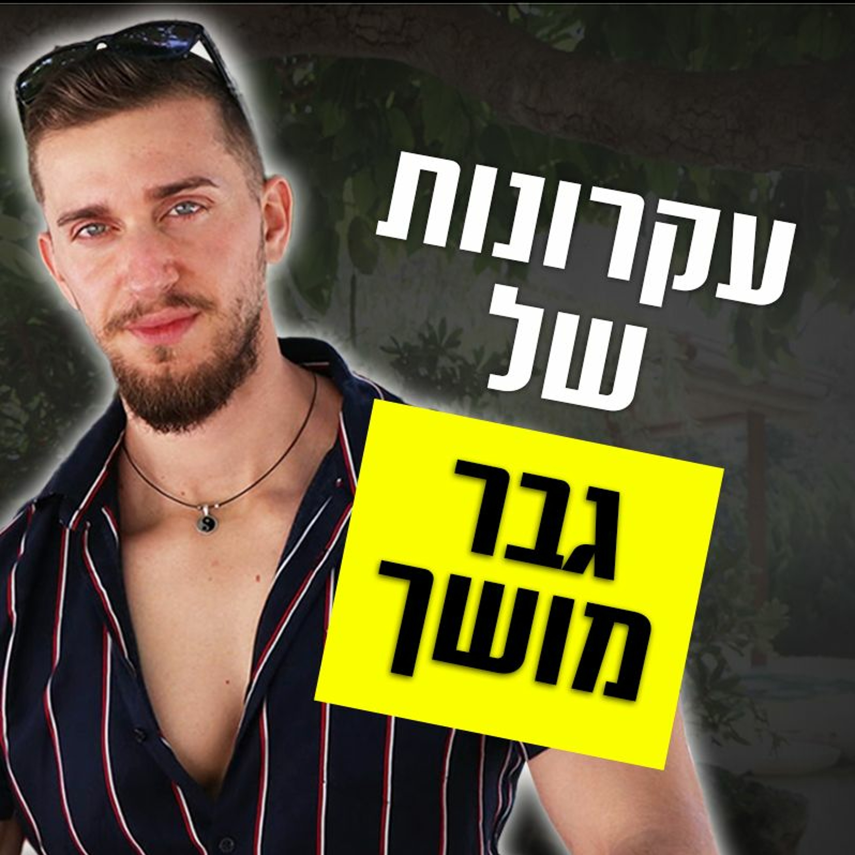 עקרונות של גבר מושך (תבין את זה...) episode artwork