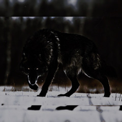 høwl (fargone)