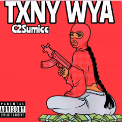 Txny wya - c2summsicc