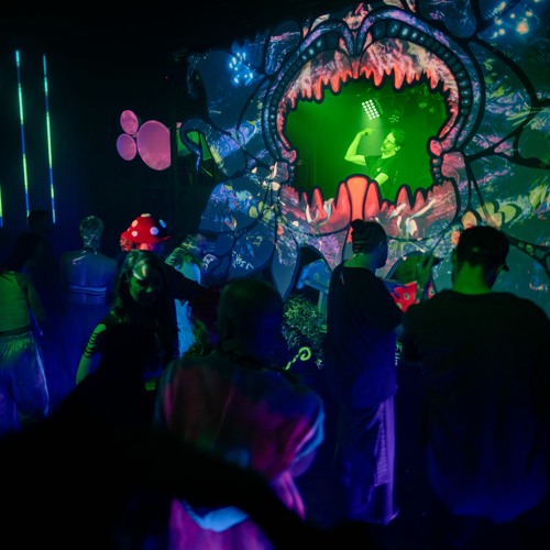 Systems Offline - into the Swamp 26/5/23