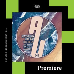 PREMIERE: Maximillion, Subliime - Deep Dip (Tim Etzel Remix) [as usual.music]