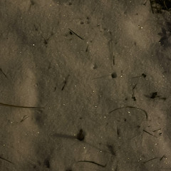 Nhật Ký xx/xx/xxxx