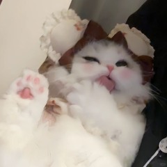 陶银花