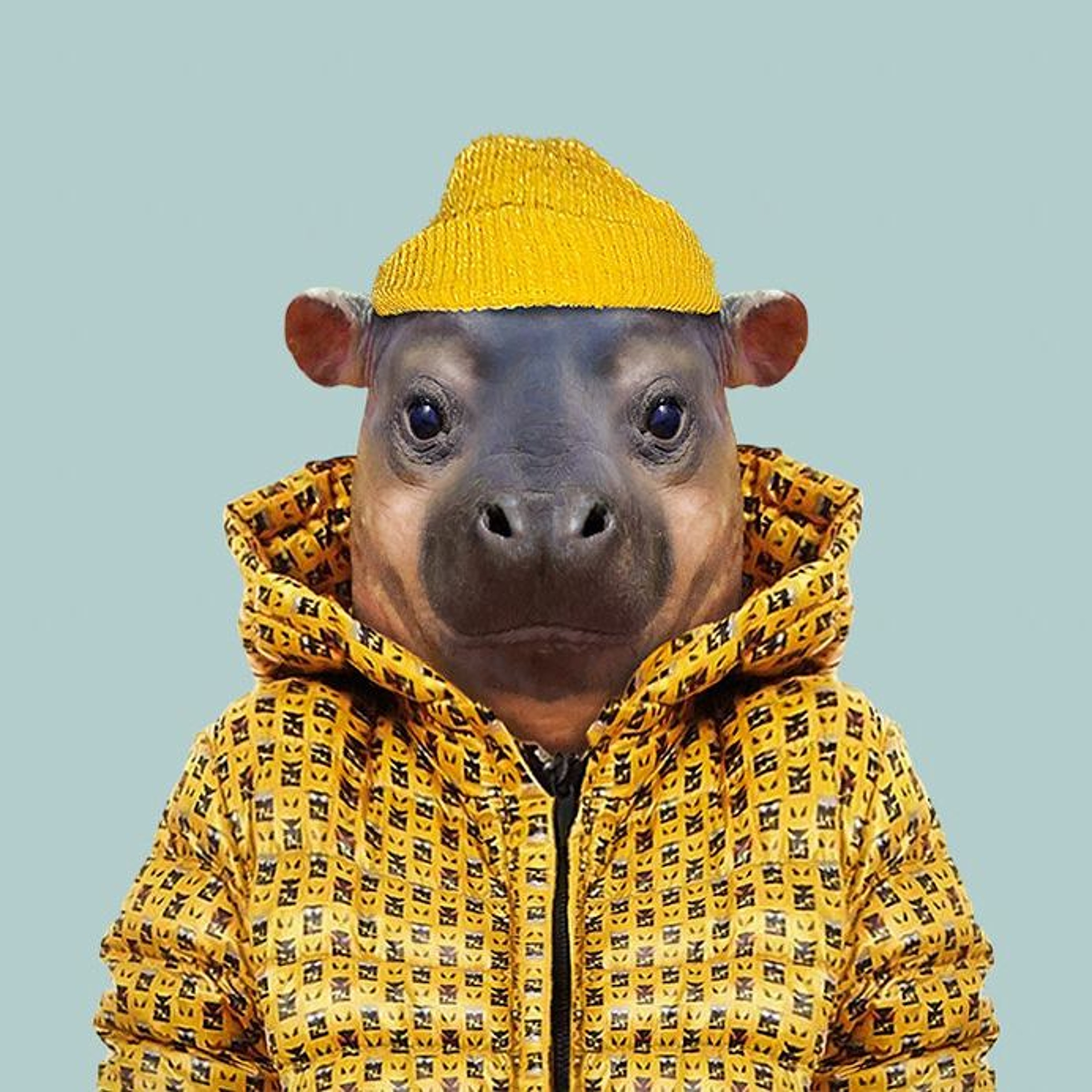 SY