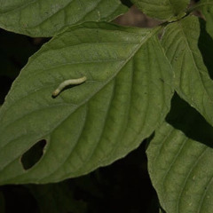 lunes de mucho sentir