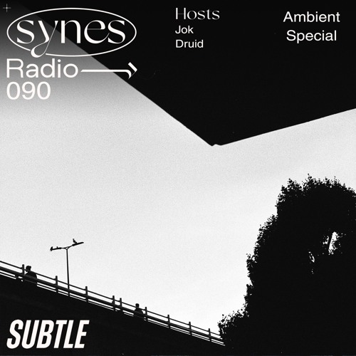 SYNES Radio