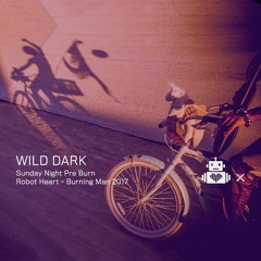 Wild Dark - Robot Heart 10 Year Anniversary - Burning Man 2017