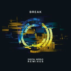 SYMMLP012 - Break - Digital World Remix LP - 1min