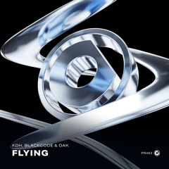 Flying (Extended Mix)