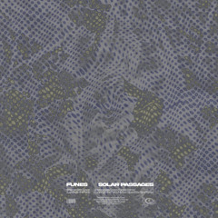 [M002] Funes - Solar Passages EP (Previews)