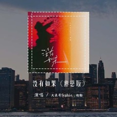 大表哥Sophie.,迦勒 - 没有如果 (热恋版)(原唱：梁静茹/严爵)「如果我说 爱我没有如果，错过就过你是不是会难过」(4k Video)【動態歌詞/pīn yīn gē cí】