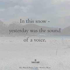 in this snow - 昨聲 [naviarhaiku625]