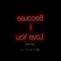 Steve Collin - Because I Love You  (Remix)