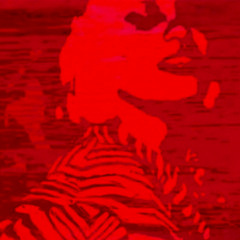 Slow Brain Fast Life