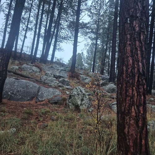 chocolate chip snare drum!