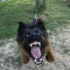 5 STARS  (prod. by Keramic Tools)