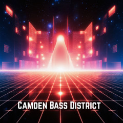Camden Bass District
