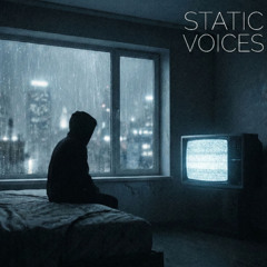 1.STATIC VOICES