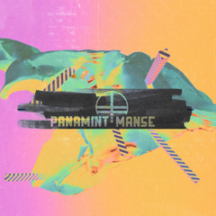 Dynetics (Panamint Manse Remix)