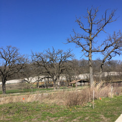 Sit Down! (prod. RonOilers)