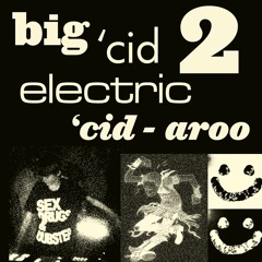BIG 'CID 2 ELECTRIC 'CID-AROO (go hard) (take 2)