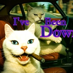 I've Been Down