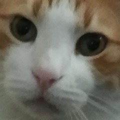 damocles_type_of_beat.mp3