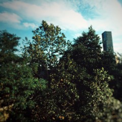 Ruff Around the Edges (Loop Week E Maj)