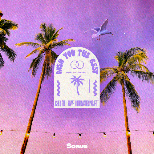 Chill Gull, rivve & UnderWater Project - Wish You The Best (feat. Andreea Flavia)