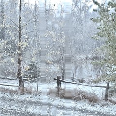 Première Neige (pour ensemble)