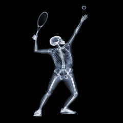 wimbledon (p. meraki)