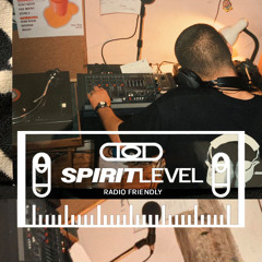 Spirit Level 03 // Radio Friendly with Stevie G