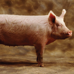 #ifireallywantedto #idalreadybedead #andnoneofyouwouldknow