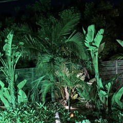 Scorchfather Deep House oct2025. 40 yrs of DJing esooo