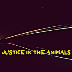 Justice In The Animals