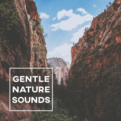 Meditate Of The Sounds Of Nature