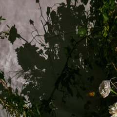 first draft. mistakes