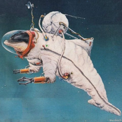 Dream Voyage (65 to 125 BPM) - U1