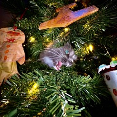 2badhoes (coarselinen)