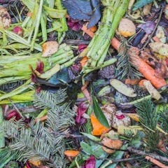 From Waste To Wealth